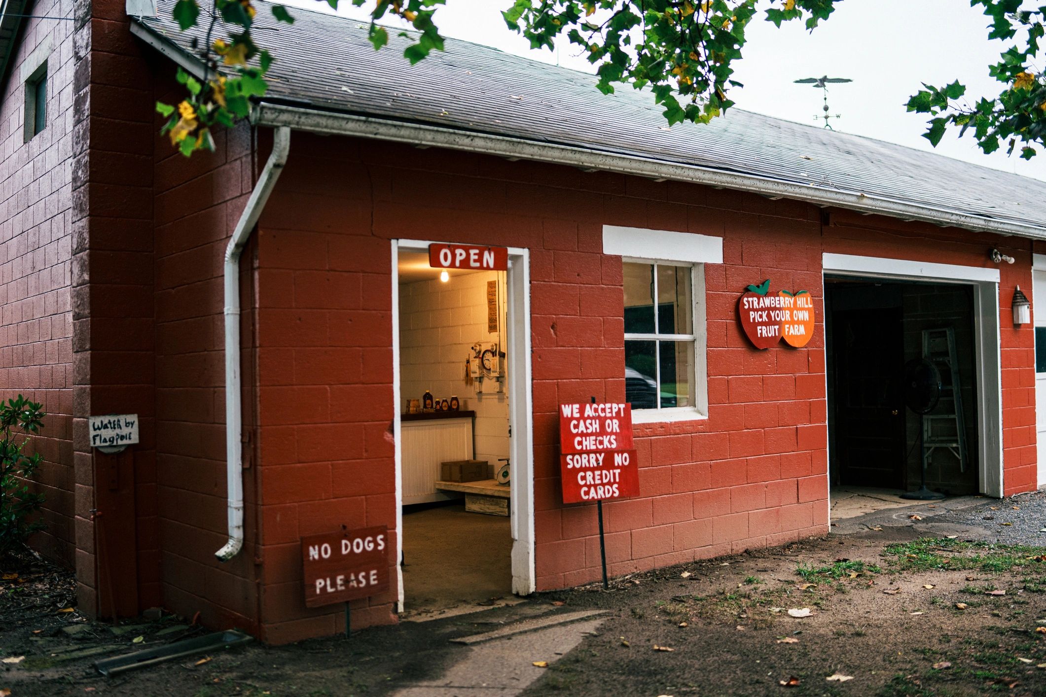 CTA image